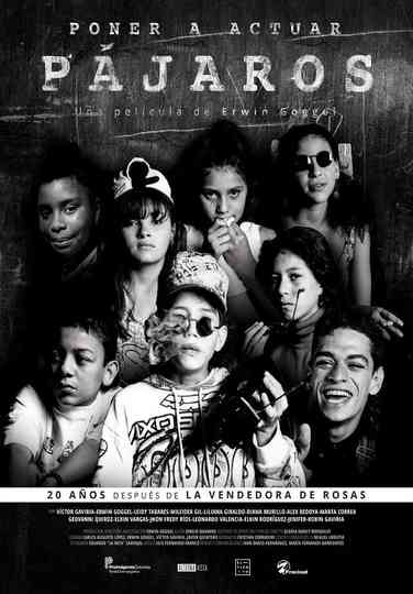 Making Birds Act Poster