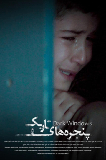 Dark Windows Poster