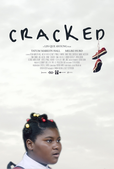 Cracked Poster