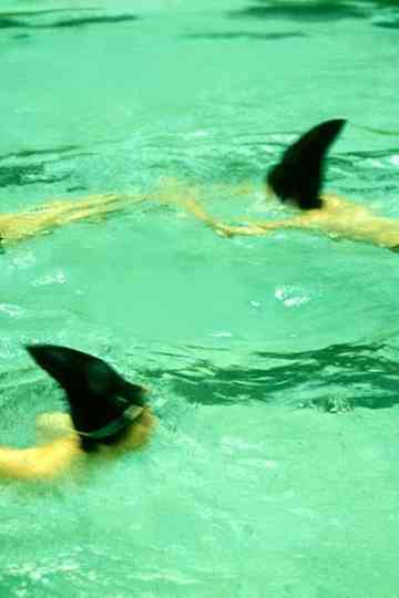 New York Corres Sponge Dance School of Vancouver at the Blue Horizons Poster