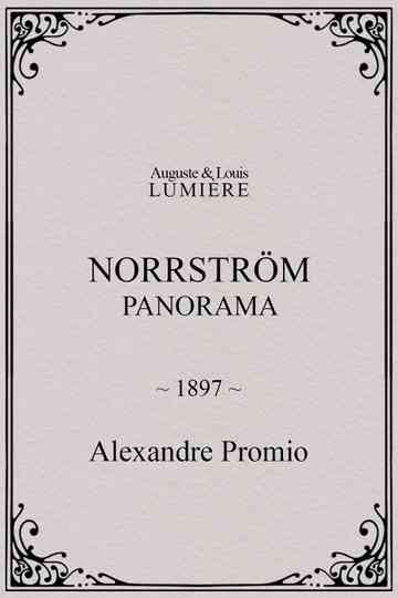 Norrström: panorama Poster