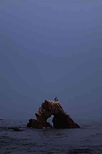 black widow summer set Poster