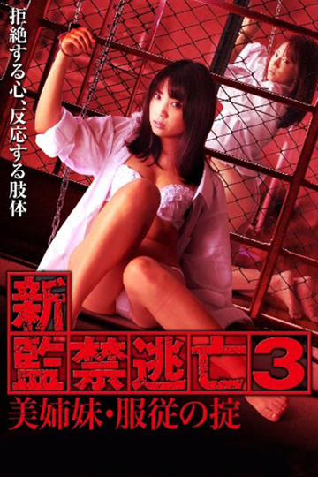 Escape Captivity 3: The Beautiful Sisters' Law of Submission Poster