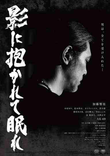 Sleep in the Shadows Poster