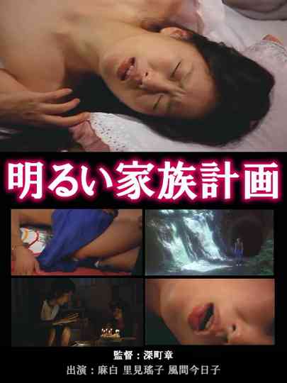 The Novelist's Affair: The Pleasures of Infidelity Poster