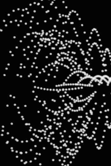 378 Objects and Transformations Poster