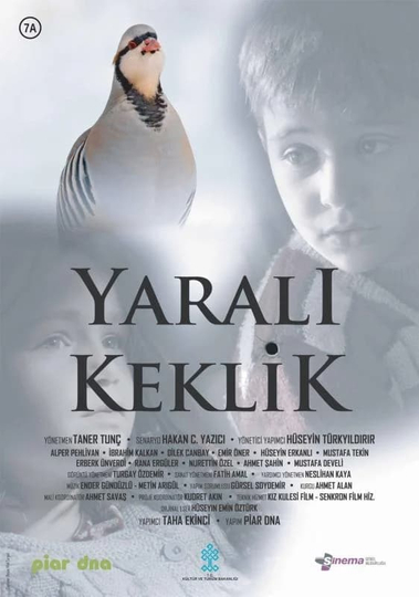 Yaralı Keklik Poster