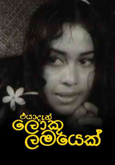 How to Be an Adult Poster