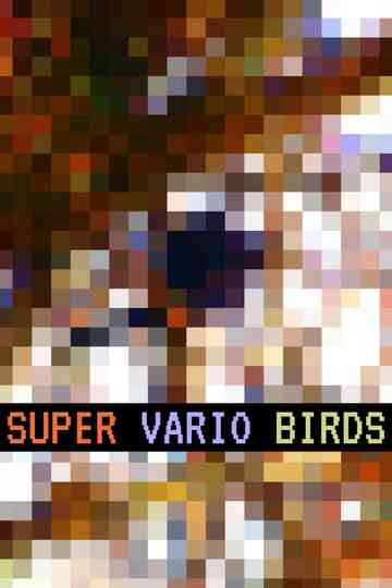 Super Vario Birds poster