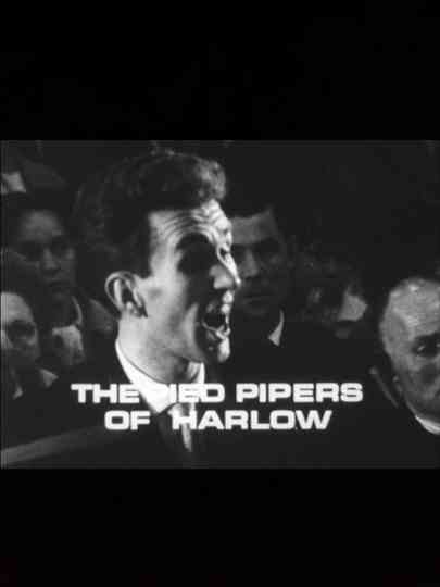 The Pied Pipers of Harlow Poster
