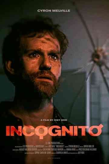 Incognito Poster