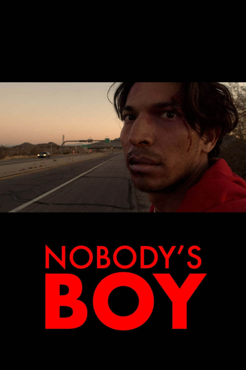 Nobodys Boy Poster