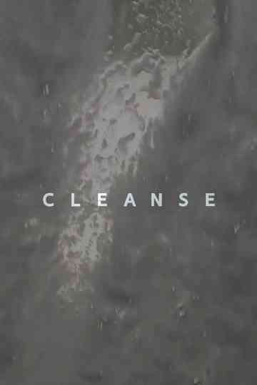 Cleanse Poster