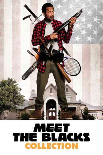 Meet the Blacks Collection Poster
