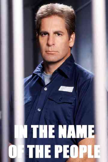 In the Name of the People Poster