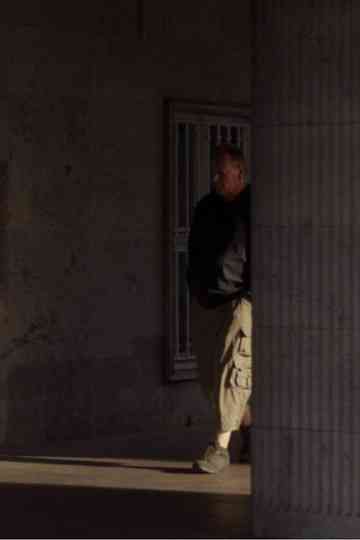 The Perfect Spectator Poster