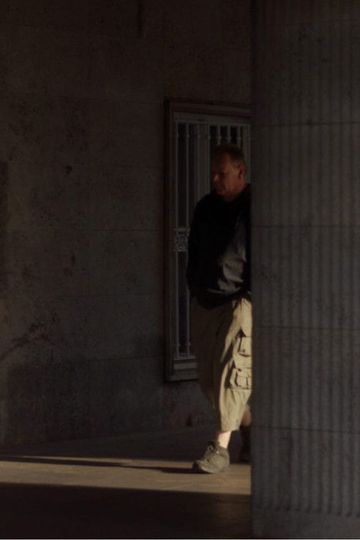 The Perfect Spectator