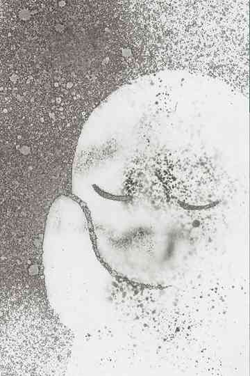 CHARON Plutos lonesomeness Poster