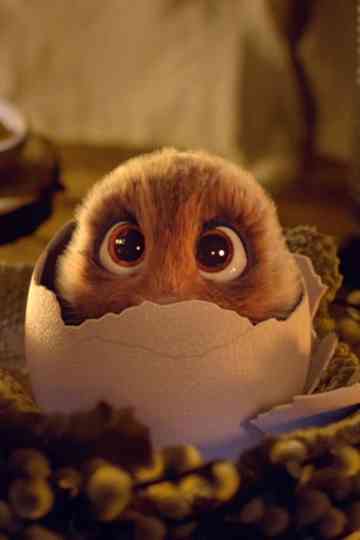 Netto: The Easter Surprise Poster