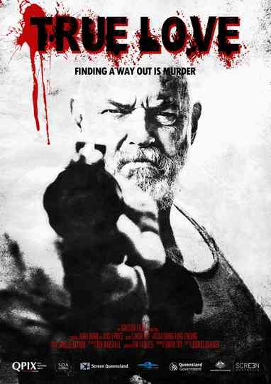 True Love Poster