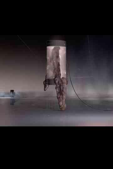 House of Skin Poster