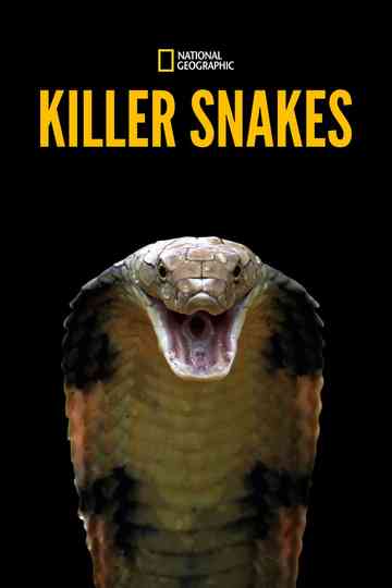 Killer Snakes Poster