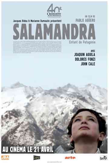Salamander Poster