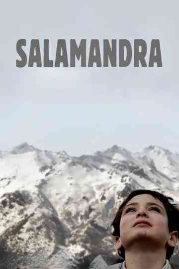 Salamander Poster