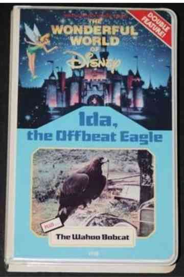 Ida, the Offbeat Eagle Poster