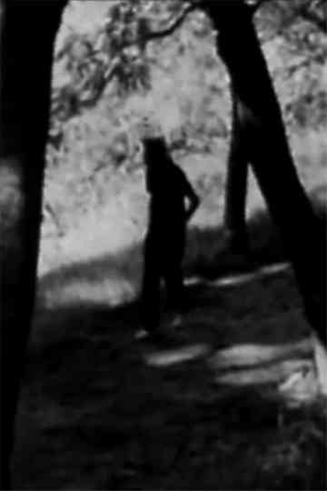 Homenaje a Juan L Ortiz Poster