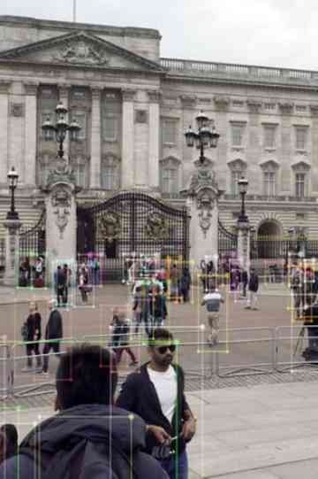 Ostrich Theory Poster