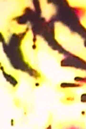 Pornogriffith Poster