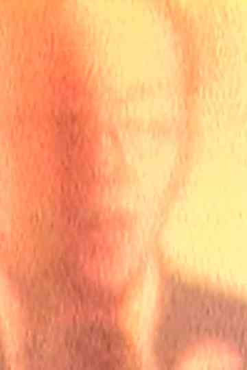 Zeiss The Last Chapter of Broadcast Poster