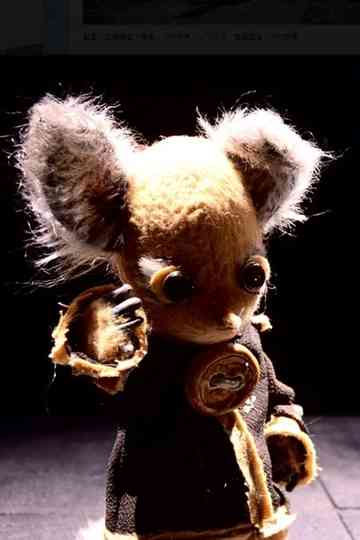 Invisible Touch Poster