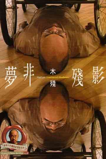 Fractured Shadows Poster