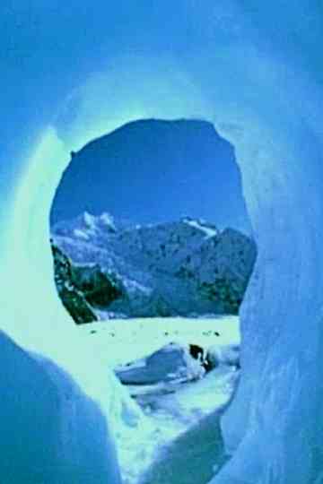 The Water Cycle Poster