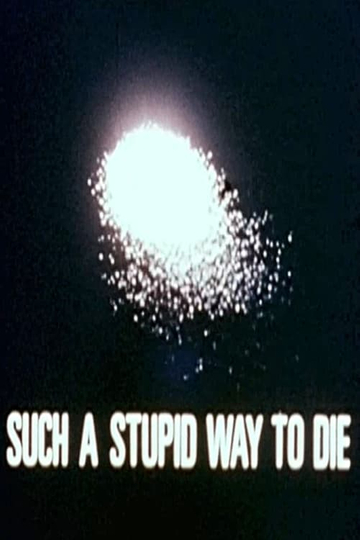 Such a Stupid Way to Die Poster