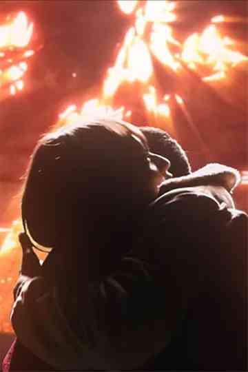 The Metorite and Impotence Poster