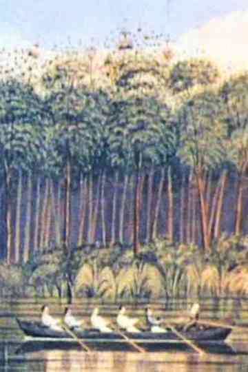 New Country - New People Poster