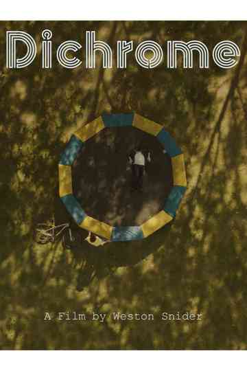 Dichrome Poster