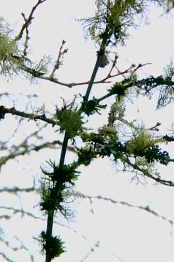 History is Unwritten Poster