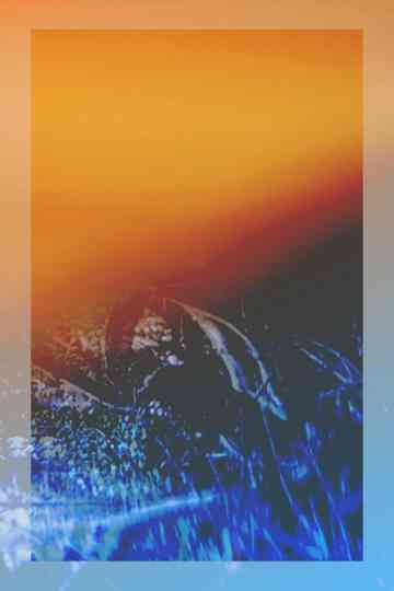 Graduation Movie 21 Poster