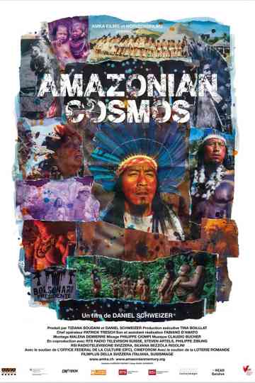 Amazonian Cosmos Poster