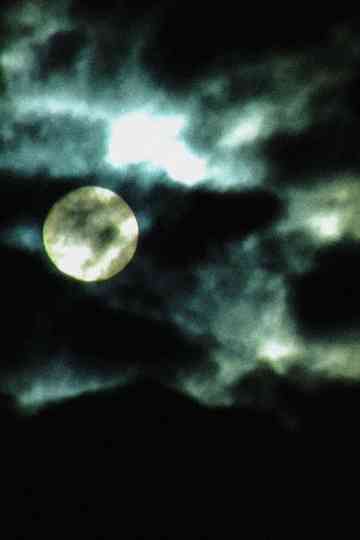 Vampires Drink Blood... I Drink Sorrow Poster