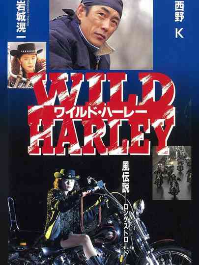 Wild Harley Poster