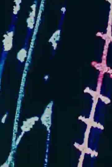 Desenho Abstrato n 2 Poster