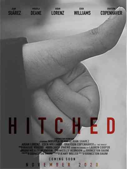 Hitched Poster