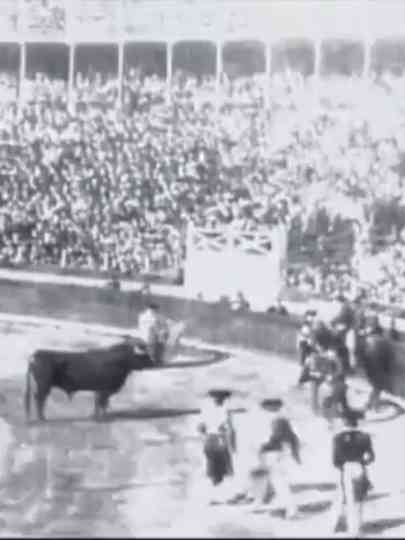 Espagne  courses de taureaux II Poster