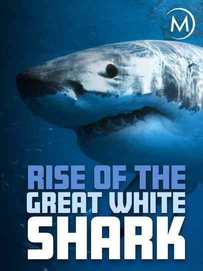 Rise Of The Great White Shark poster