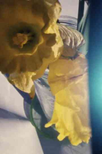 pài-la̍k ē-poo (saturday afternoon) Poster